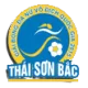 Logo Ha Noi II (w)